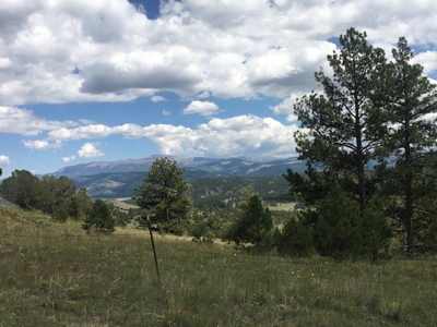Colorado Mountain Meadows - Forty Acres in Guffey, Colorado - image 8