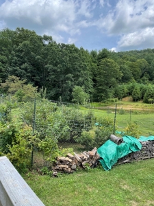Farmhouse for Sale in Willis VA - image 17