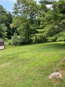 Farmhouse for Sale in Willis VA - image 20