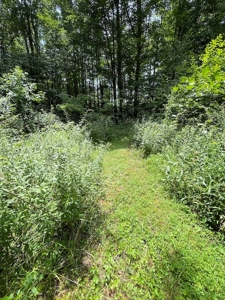 Farmhouse for Sale in Willis VA - image 36