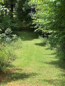 Farmhouse for Sale in Willis VA - image 40