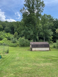 Farmhouse for Sale in Willis VA - image 19
