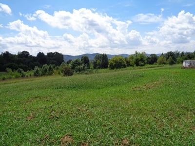 3 BR, 2.5 BA Home in New Market, TN For Sale - image 3