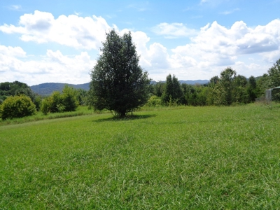 3 BR, 2.5 BA Home in New Market, TN For Sale - image 6