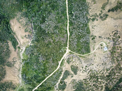 Off Grid Log Home w/ 70 acres Hunting Retreat in Colorado! - image 2