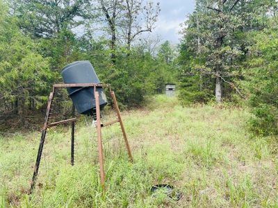 Land For Sale In Melbourne, Arkansas - image 6