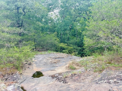 Land For Sale In Melbourne, Arkansas - image 4