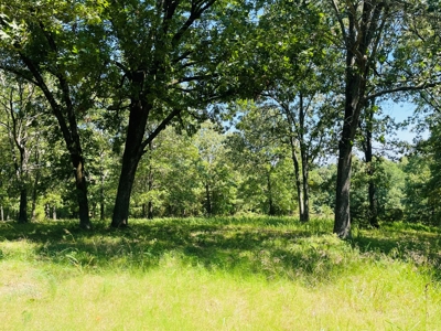 Land For Sale In Melbourne, Arkansas - image 26