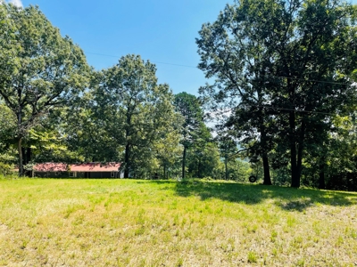Land For Sale In Melbourne, Arkansas - image 1