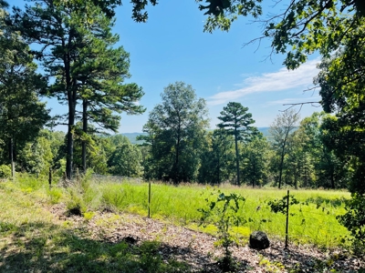 Land For Sale In Melbourne, Arkansas - image 15