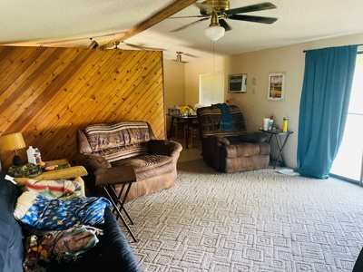 Land For Sale In Melbourne, Arkansas - image 18