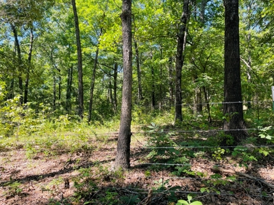 Land For Sale In Melbourne, Arkansas - image 11