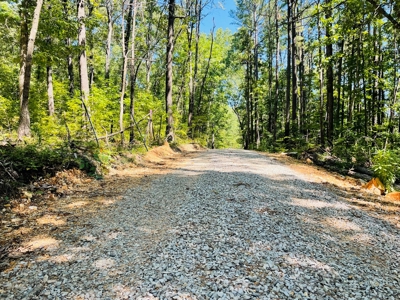 Land For Sale In Melbourne, Arkansas - image 10