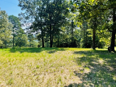 Land For Sale In Melbourne, Arkansas - image 29