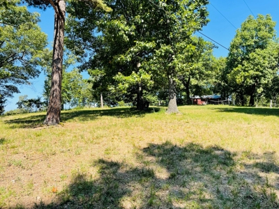 Land For Sale In Melbourne, Arkansas - image 14