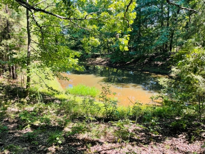 Land For Sale In Melbourne, Arkansas - image 27