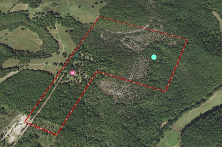 Land For Sale In Melbourne, Arkansas - image 3