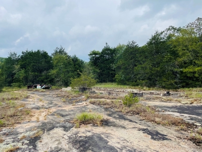 Land For Sale In Melbourne, Arkansas - image 7