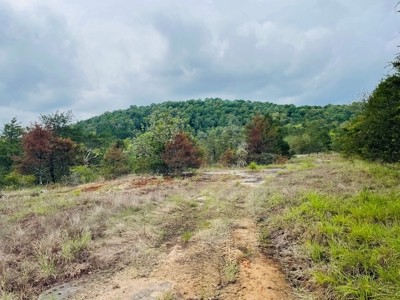 Land For Sale In Melbourne, Arkansas - image 8