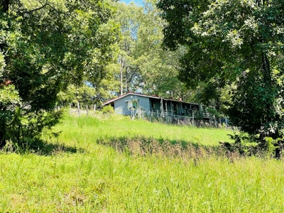 Land For Sale In Melbourne, Arkansas - image 30