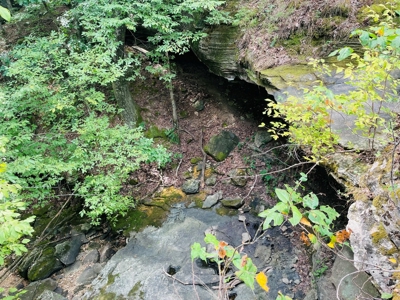 Land For Sale In Melbourne, Arkansas - image 5