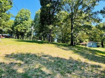 Land For Sale In Melbourne, Arkansas - image 13