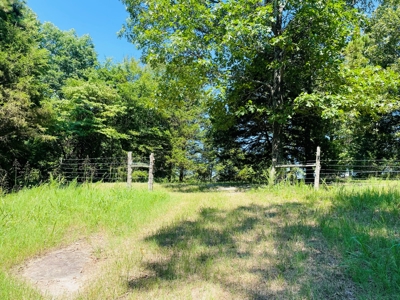 Land For Sale In Melbourne, Arkansas - image 12