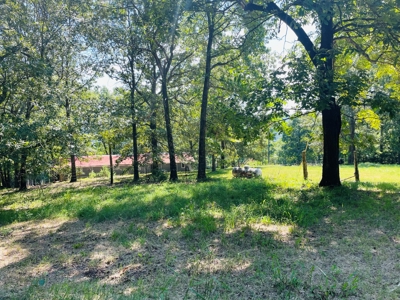Land For Sale In Melbourne, Arkansas - image 25