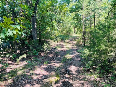 Land For Sale In Melbourne, Arkansas - image 28