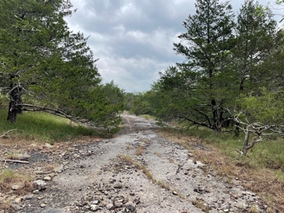 Land For Sale In Melbourne, Arkansas - image 9