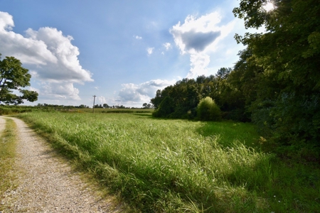 Land for Sale, Mini Farm, Hunting Property Petersburg, IN - image 9