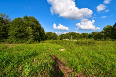 Land for Sale, Mini Farm, Hunting Property Petersburg, IN - image 10