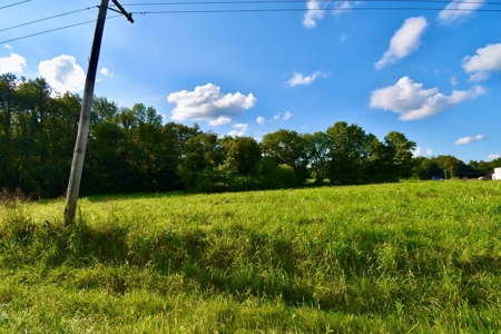 Land for Sale, Mini Farm, Hunting Property Petersburg, IN - image 17