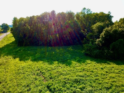 Land for Sale, Mini Farm, Hunting Property Petersburg, IN - image 8