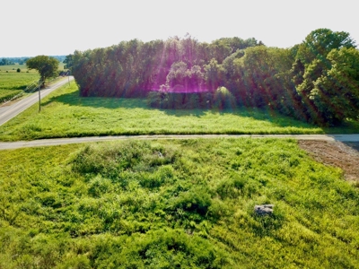 Land for Sale, Mini Farm, Hunting Property Petersburg, IN - image 6