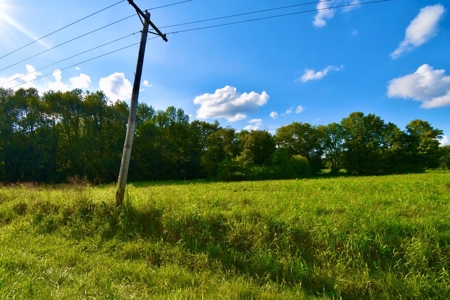 Land for Sale, Mini Farm, Hunting Property Petersburg, IN - image 16