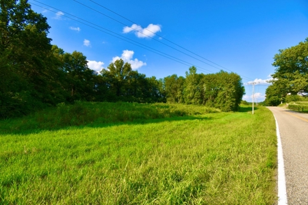Land for Sale, Mini Farm, Hunting Property Petersburg, IN - image 15