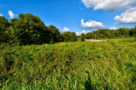 Land for Sale, Mini Farm, Hunting Property Petersburg, IN - image 11