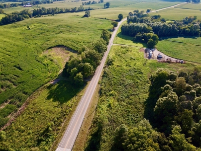 Land for Sale, Mini Farm, Hunting Property Petersburg, IN - image 5