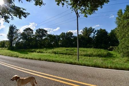 Land for Sale, Mini Farm, Hunting Property Petersburg, IN - image 14