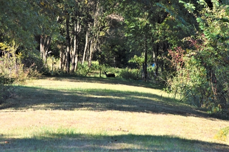 Hunting, Farmland, Pasture, Building Sites, Privacy, Fenced - image 6