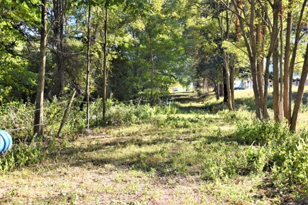 Hunting, Farmland, Pasture, Building Sites, Privacy, Fenced - image 11