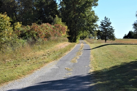 Hunting, Farmland, Pasture, Building Sites, Privacy, Fenced - image 4
