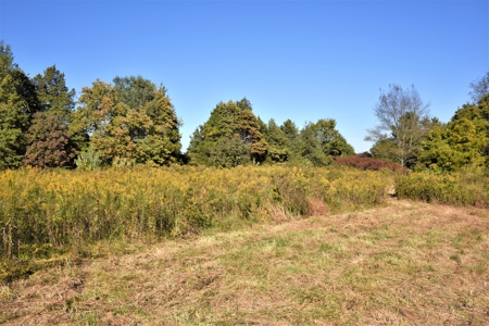 Hunting, Farmland, Pasture, Building Sites, Privacy, Fenced - image 9