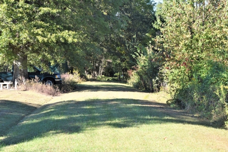Hunting, Farmland, Pasture, Building Sites, Privacy, Fenced - image 5