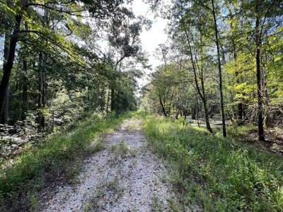 Saline Bayou 310 - Land for Sale Bienville Parish, LA - image 34
