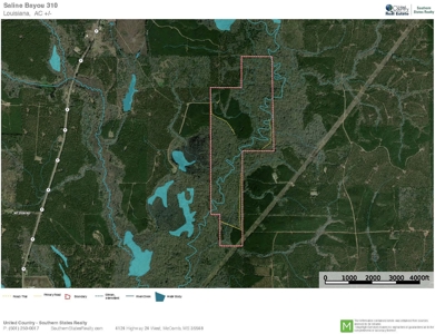 Saline Bayou 310 - Land for Sale Bienville Parish, LA - image 49