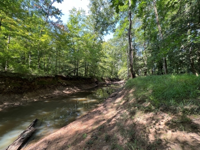 Saline Bayou 310 - Land for Sale Bienville Parish, LA - image 1