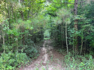 Saline Bayou 310 - Land for Sale Bienville Parish, LA - image 28