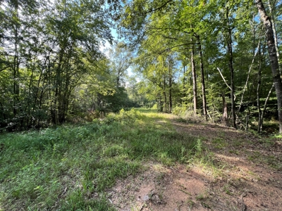 Saline Bayou 310 - Land for Sale Bienville Parish, LA - image 35